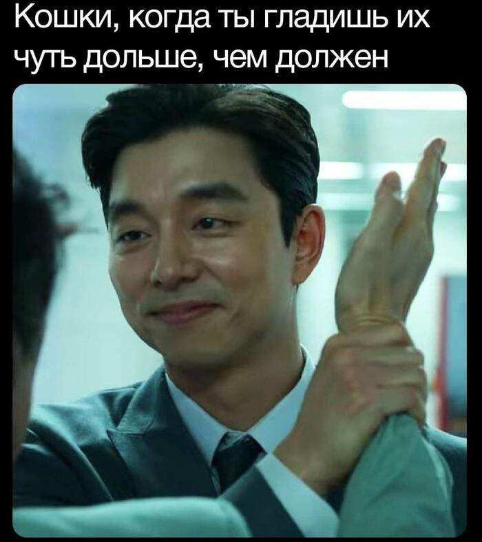  , ,   ,    (), 