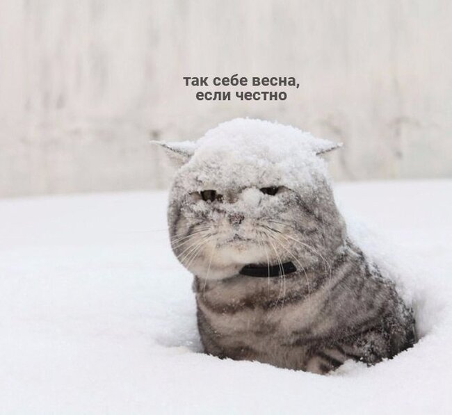 ����� ����� ������...