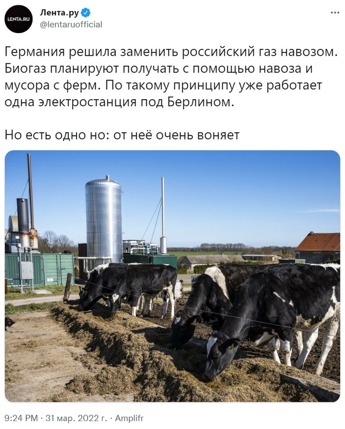 В Германии политики захотели заменить российский газ навозом