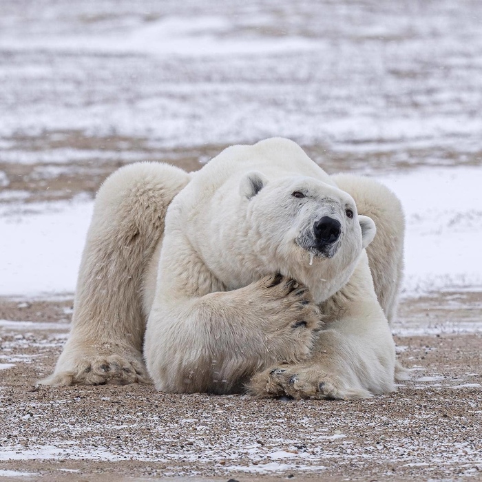 Где бы мне рыбки раздобыть?