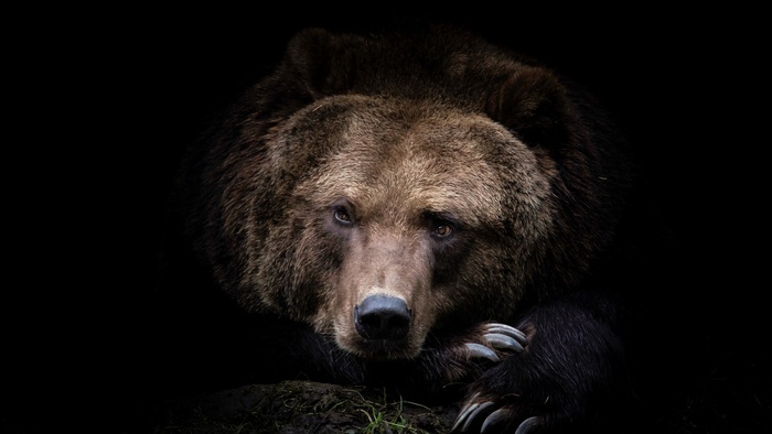 Что-то взгрустнулось