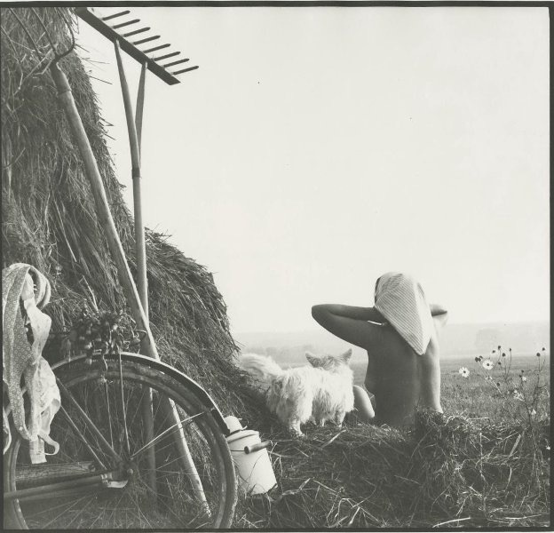     , , , , , , , ,  , , , 1980, , 