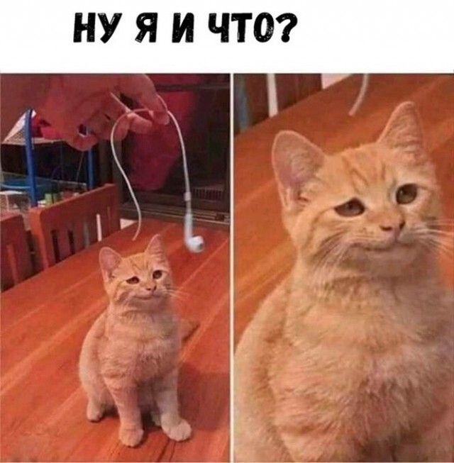 164872689417293970.jpg