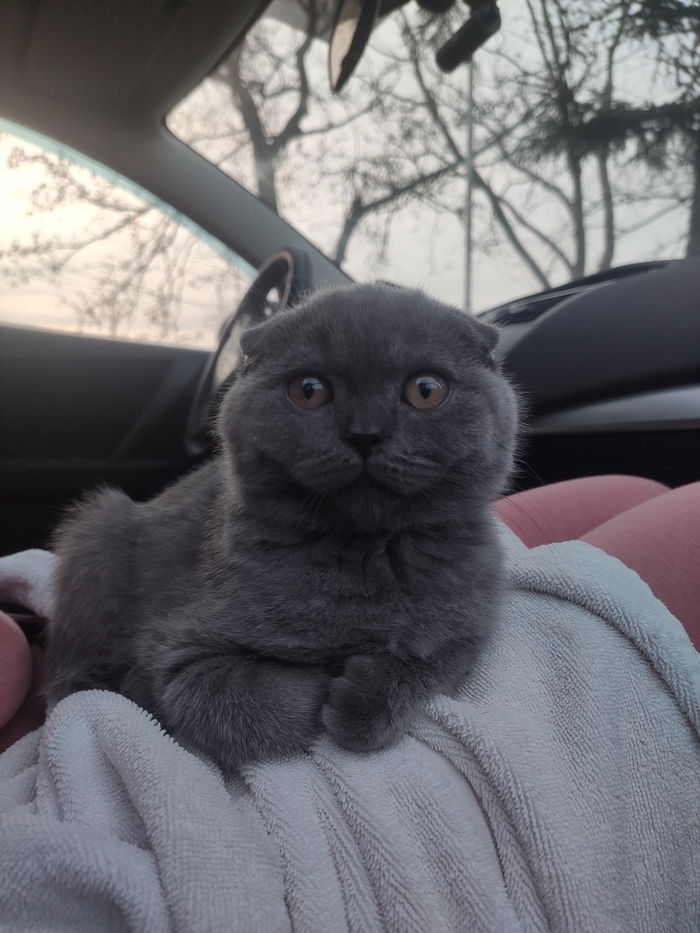 Опять на прививку