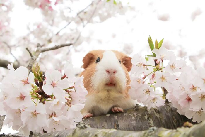 ����� ��������� �������. � �������� ������� ������, ������