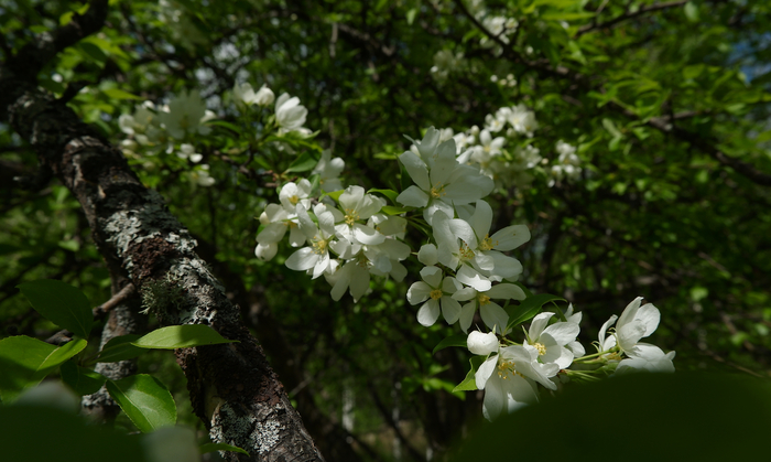 ������ �� ���������