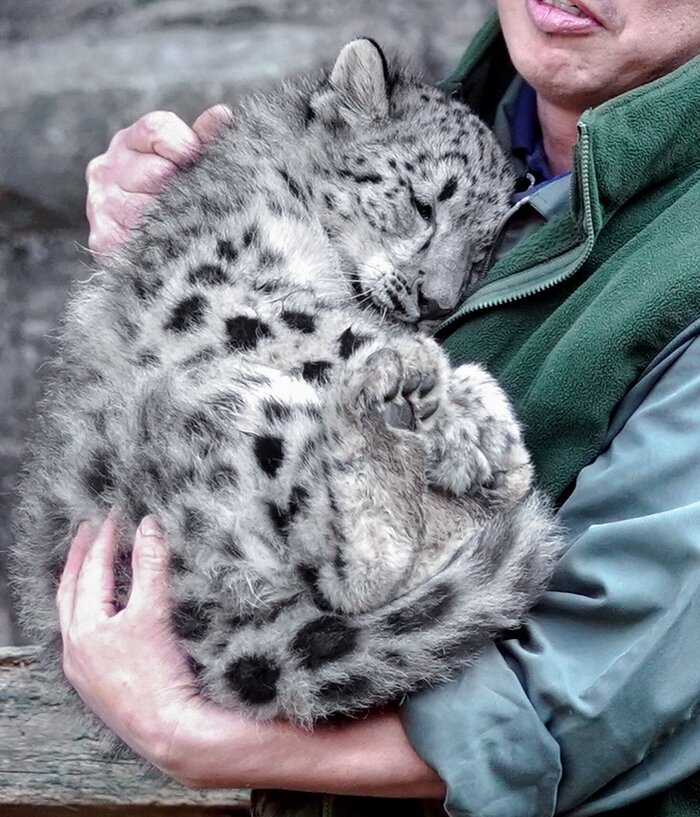 ������ ������, � ���� ������� �� ����������