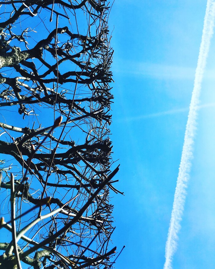 ���������� ����