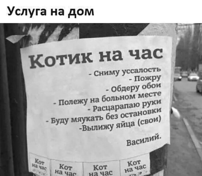 Снимаю. Порчу