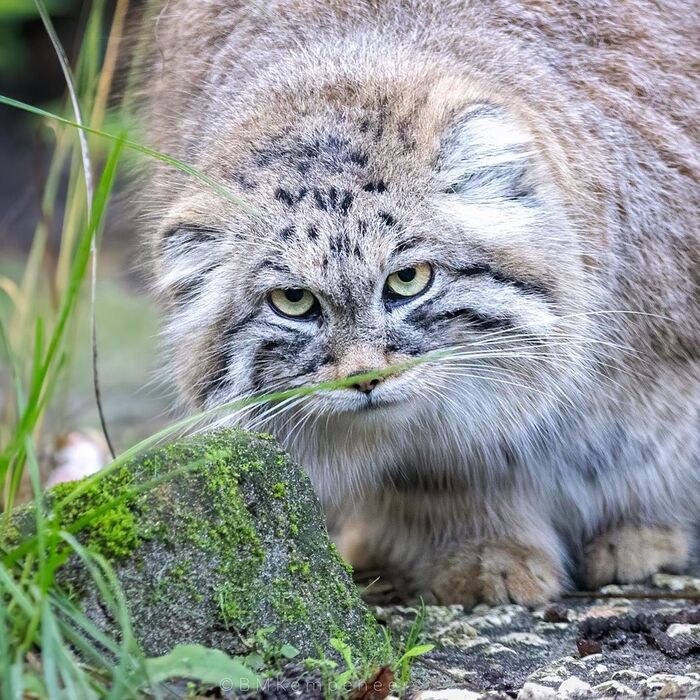 �������� ������ ����������� � ������� ����