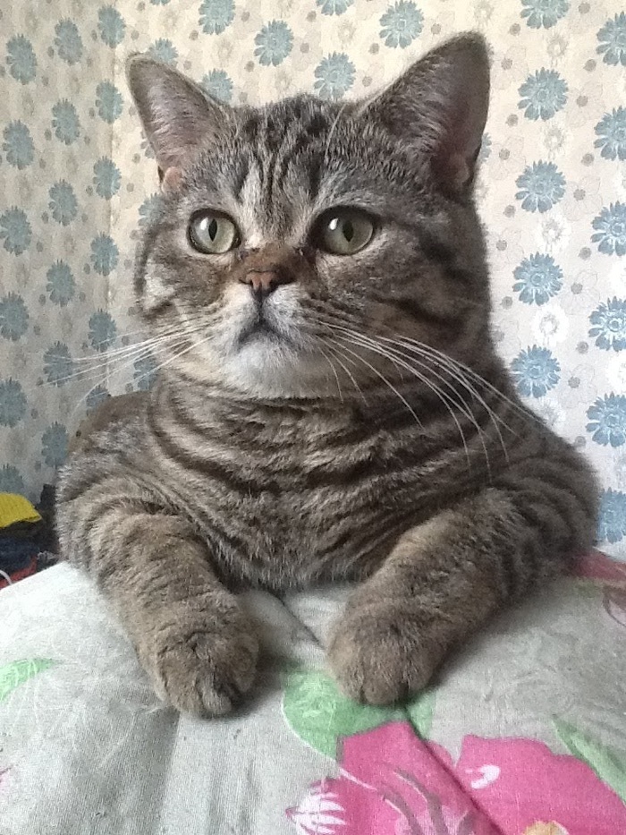 �� ������� ����, �� ����������. ����� �����