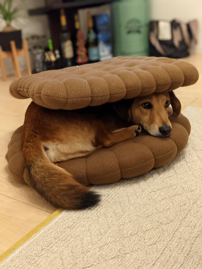 Шоколадный сэндвич