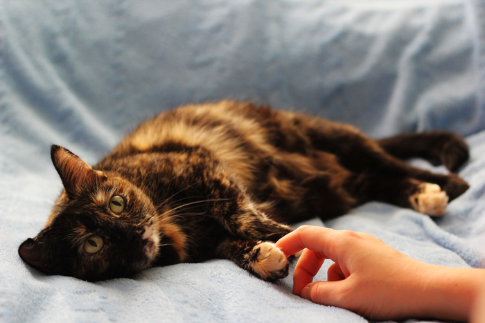 �� ������� ���� - �� ����������. ���