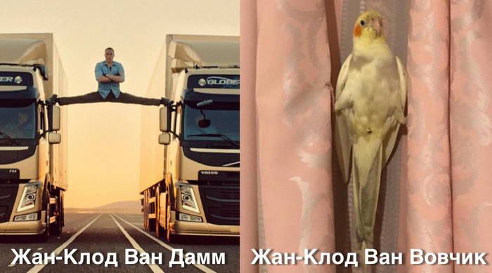 ������ ����� �� ����� ������� �������