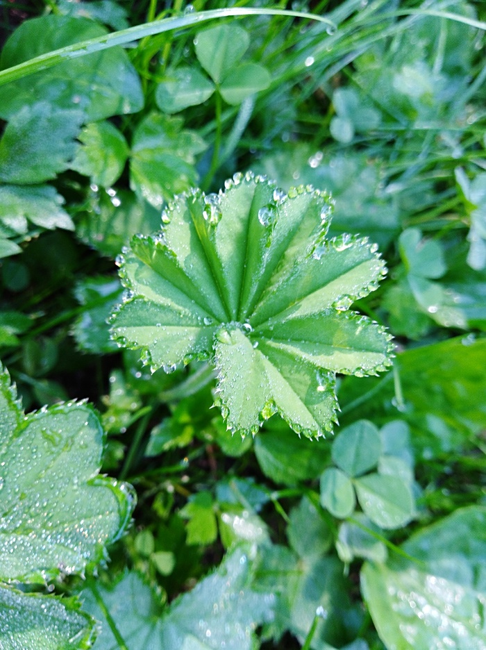 Хочется тепла и лета