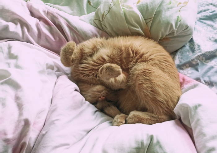 Внезапный ренессанс