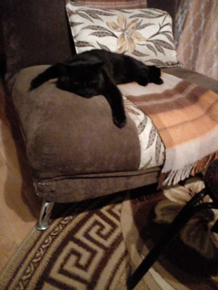 Любимая поза