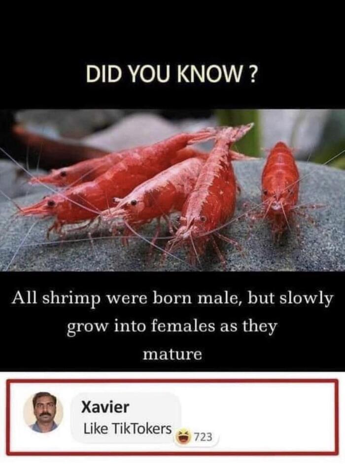 � �� �����, ���