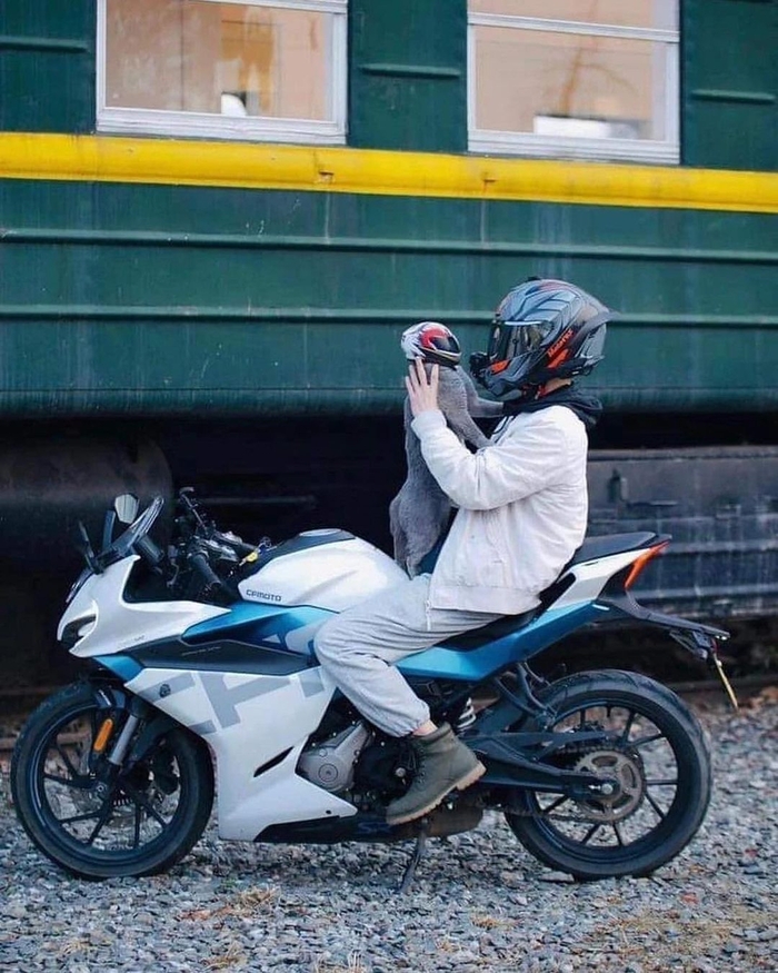   , , , , , 
