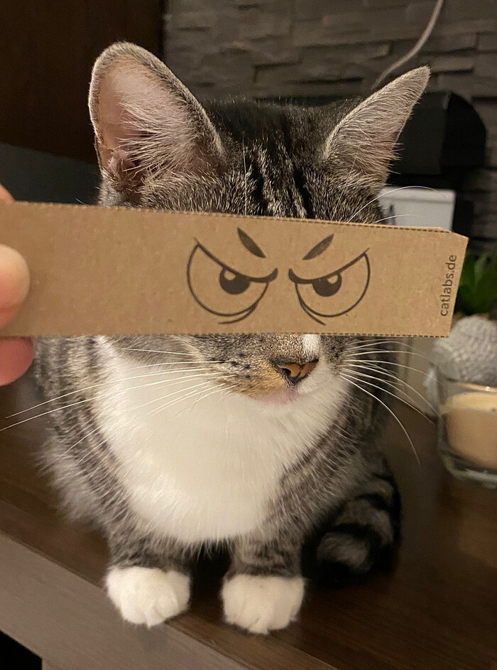   , 