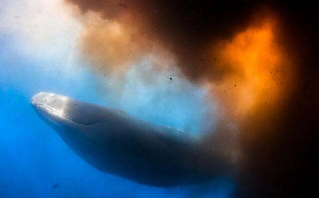 �� ������ ��� ������ ����?