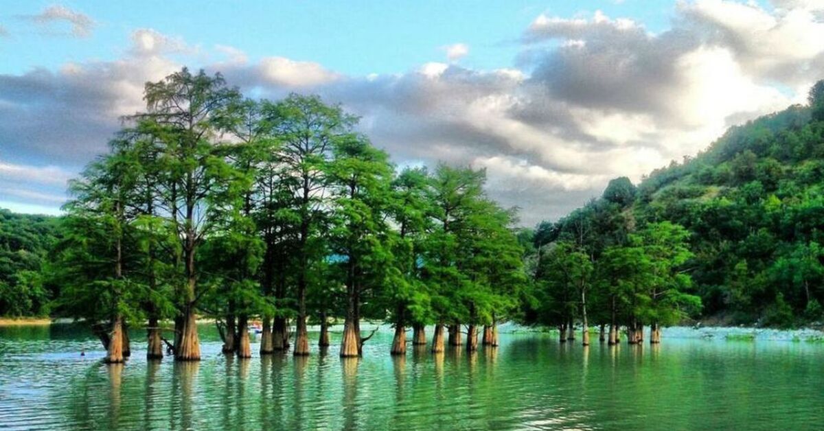 Сукко Озеро С Кипарисами Фото