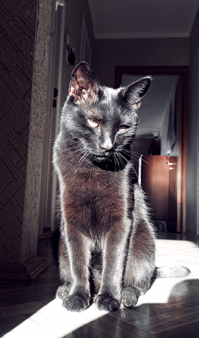 ��������� ���...