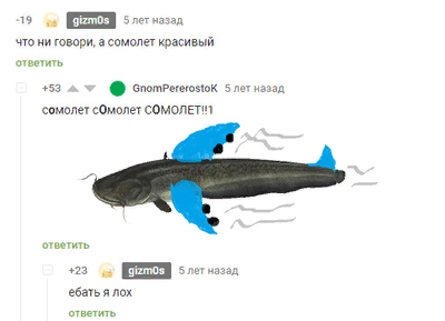 А это сомолет