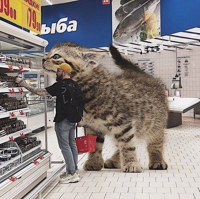 ��� ������, ��� ������� �������!