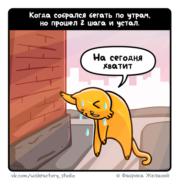 Кот Булчик: Начинаем бегать