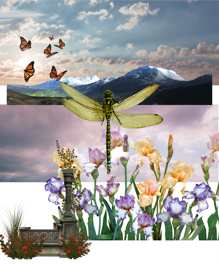  Photoshop, , , , 