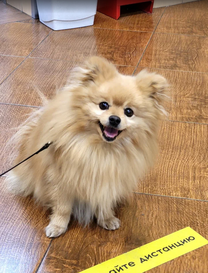 ������ �� ����������