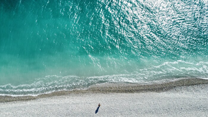 ��������� �����������