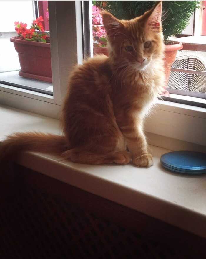 Есеке три месяца