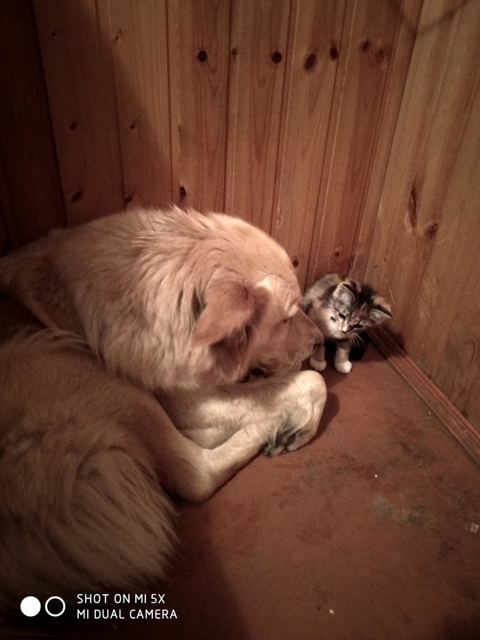    &quot;        &quot;