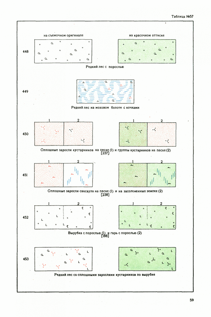 Топографическое домино