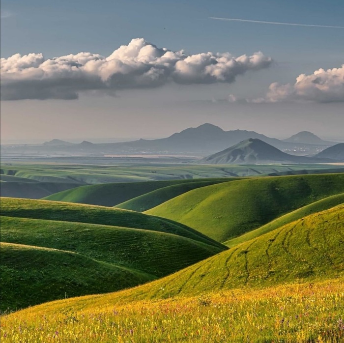 ������������