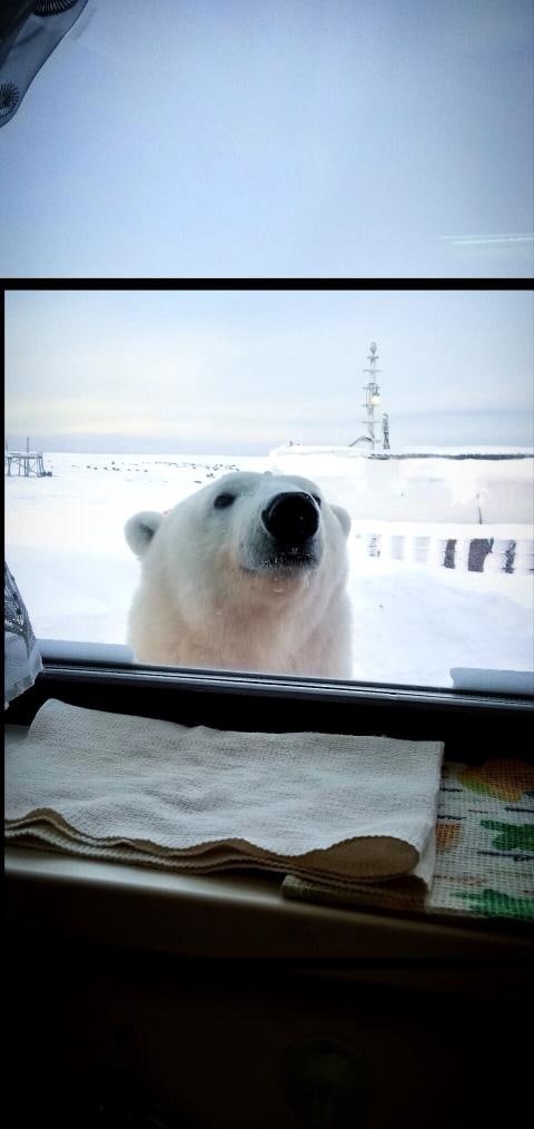 А Саня гулять выйдет?