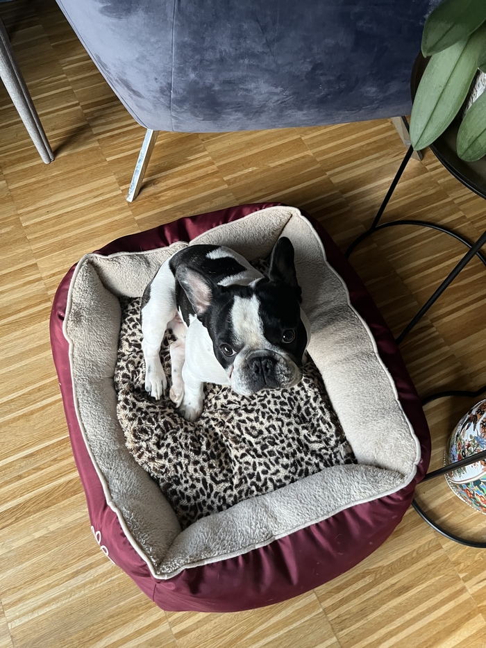 ����� �� ���� ��� ������� ������ - �� ����������