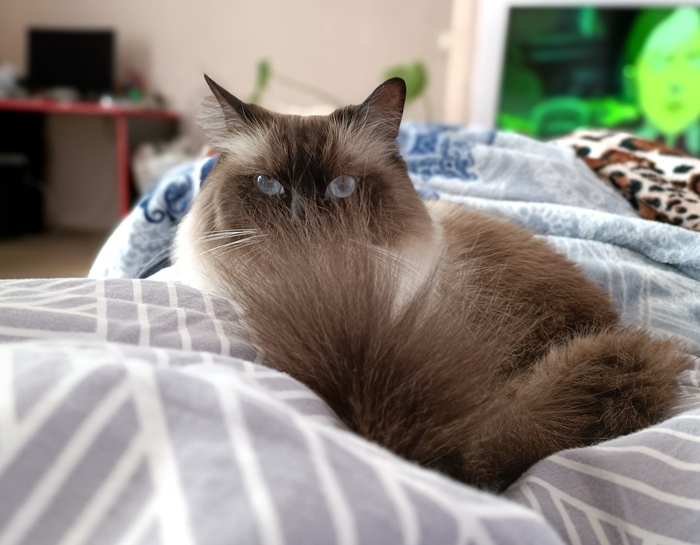 ����������