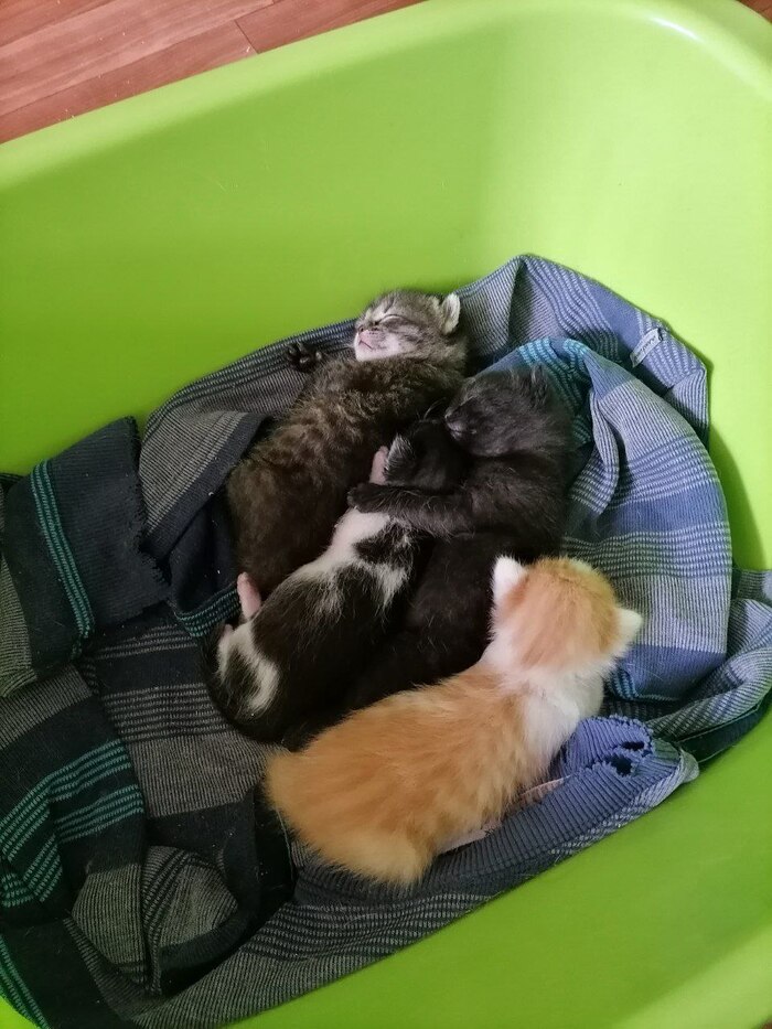 ������ ��������� �������)))