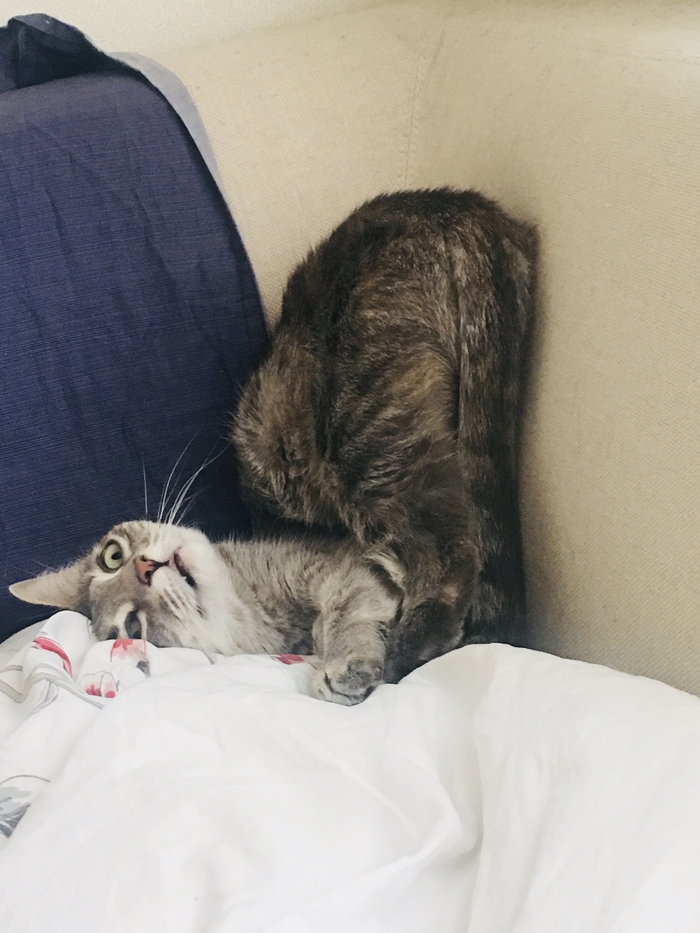     ) , , , , ,  