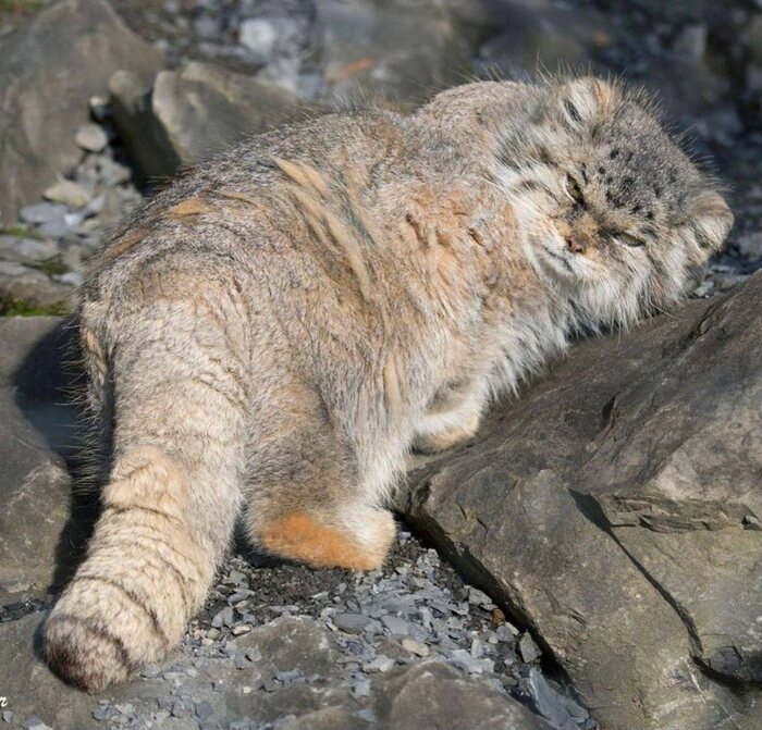 Злые вы. Уйду я от вас