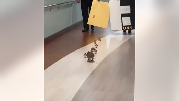 �����: ����-���� ���������� ������������� ���� �� ��������� �������