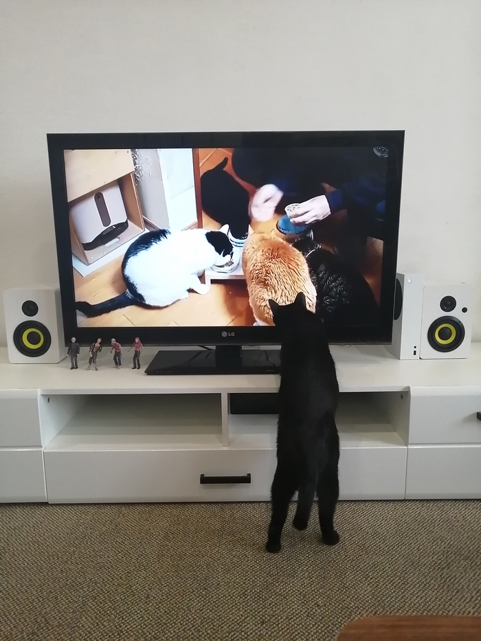 � ������� �� ����