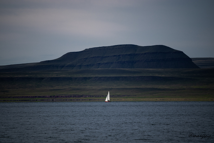 ������ ����� ��������