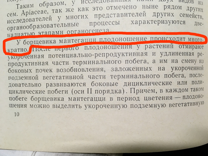 Теперь мы точно знаем, как отличить борщевик Сосновского от борщевика Мантегацци! Научпоп, Интересное, Познавательно, Борщевик, Антиборщевик, Природа России, Ботаника, Биология, Экология, Растения, Длиннопост