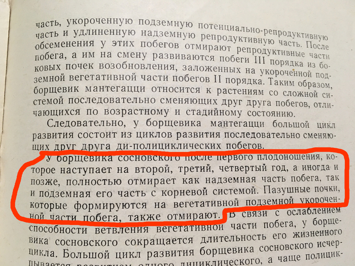Теперь мы точно знаем, как отличить борщевик Сосновского от борщевика Мантегацци! Научпоп, Интересное, Познавательно, Борщевик, Антиборщевик, Природа России, Ботаника, Биология, Экология, Растения, Длиннопост