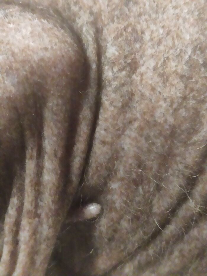 �������� ��������������� � �����