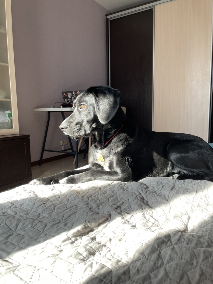 �� �������� ������ - �� �����������